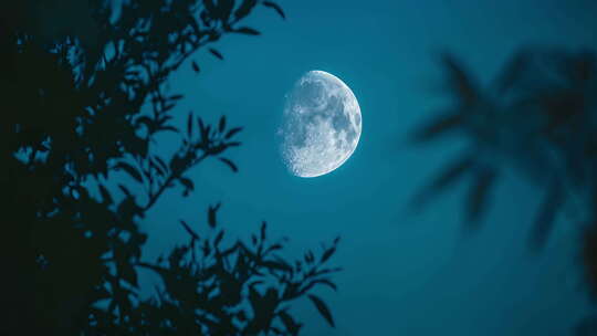 月亮空镜 中秋明月 月亮写意视频素材