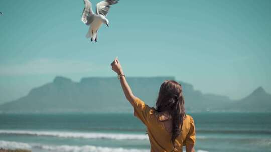 女子在海边投喂海鸥视频素材模板下载