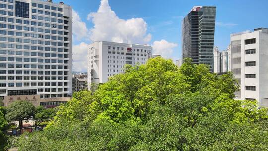 深圳市党群服务中心