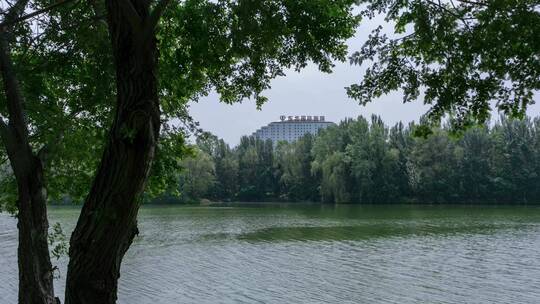 浑河岸边隔岸看东北国际医院