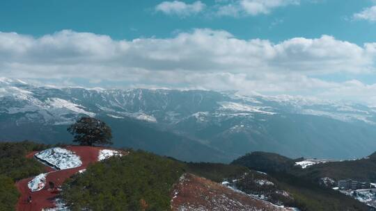 冬季积雪山区一个孤独大树远处连绵雪山