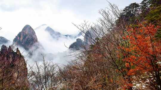 黄山风景区视频素材模板下载