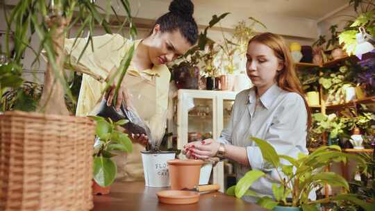 女人，花店，植物园，植物