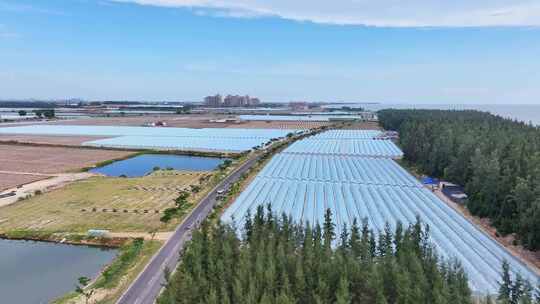 航拍一辆汽车行驶在乡村农田种植园