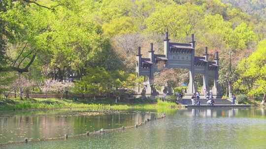 杭州西湖浴鹄湾春天风景