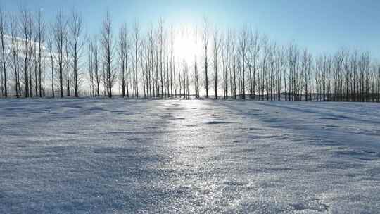 日落树林雪景延时