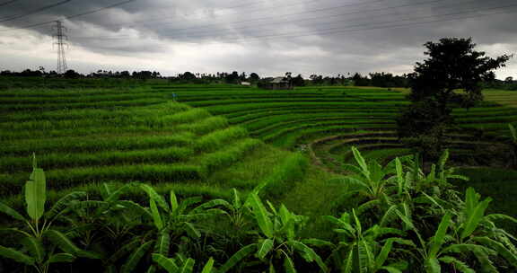 巴厘岛农村斜坡上的稻田，电缆穿过，天线