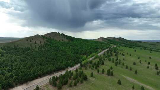 大兴安岭夏日风景丘陵山区沙地樟子松林