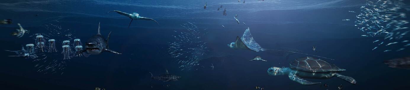 三维海底世界深海全息投影幻影成像全息投影