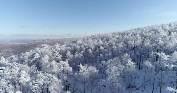 零下40度的低温航拍大兴安岭冰雪雾凇