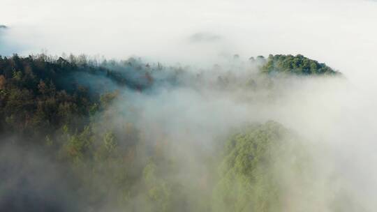 高山森林晨曦云海晨雾航拍