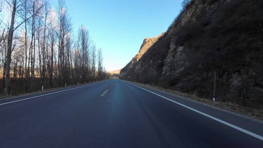 行车视角道路两侧绿化风景开车第一视角开车