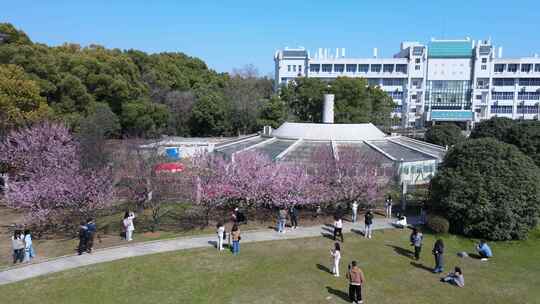 武汉大学校园航拍