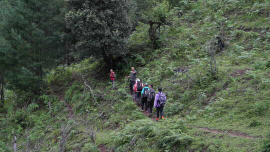 户外徒步虎跳峡徒步旅行徒步