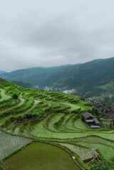 山区村舍苗寨吊脚楼加榜梯田清晨(竖幅)高清在线视频素材下载