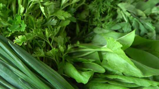 大葱菠菜欧芹和茴香维生素食物为沙拉准备绿