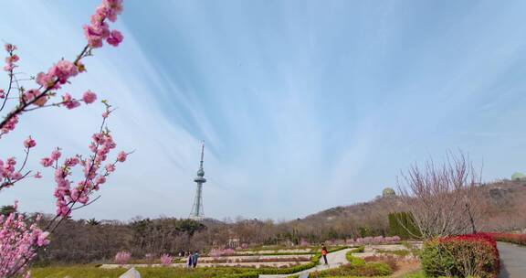 青岛中山公园春天的景色