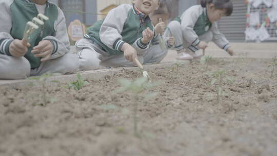 幼儿园校园生活儿童学校欢快4K素材