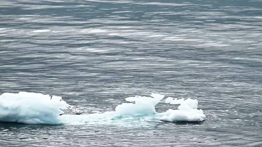 海洋中漂浮的冰块特写