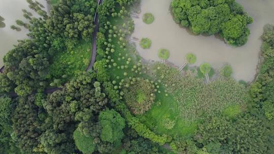 广州城市湿地公园航拍