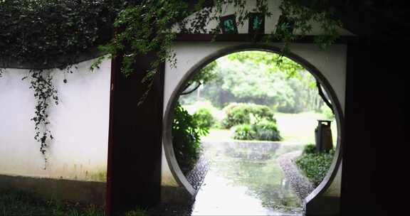 （慢镜）中国杭州西湖曲院风荷下雨天