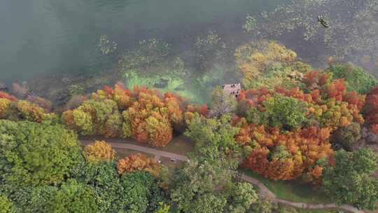 【精品】秋天秋景秋季大理洱海泸沽湖抚仙湖视频素材模板下载