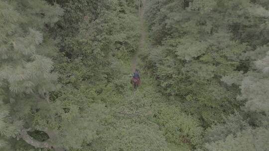 骑马走在山里