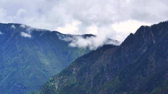 4K航拍川西阿坝州毕棚沟风光美景