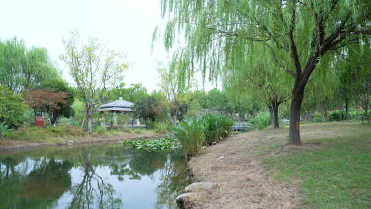 武汉光谷三路湿地公园风景