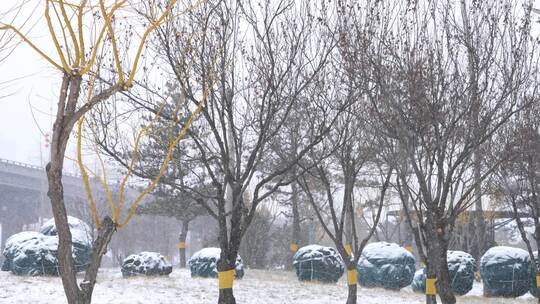 冬天下雪空镜头