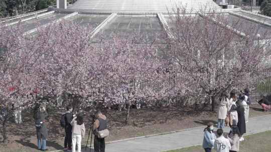 武汉大学校园航拍