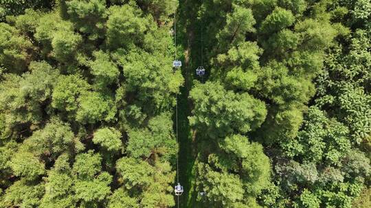 净月潭夏季森林景观森林栈道与森林缆车