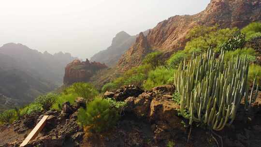 特内里费岛，山，草，岩石