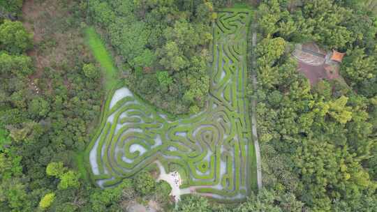 航拍东莞大屏障森林公园的植物迷宫视频素材模板下载