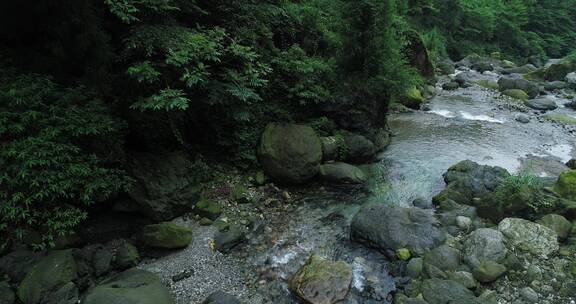 夏季峨眉山后山大沟溪水清凉