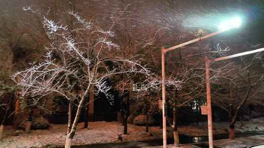 航拍鉴真路扬州雪景夜景鉴真像飘雪视频素材模板下载