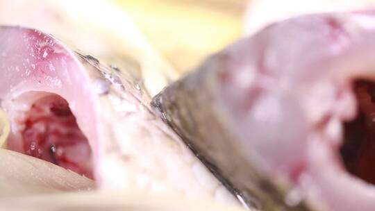 腌制鱼肉去腥加调料入味视频素材模板下载