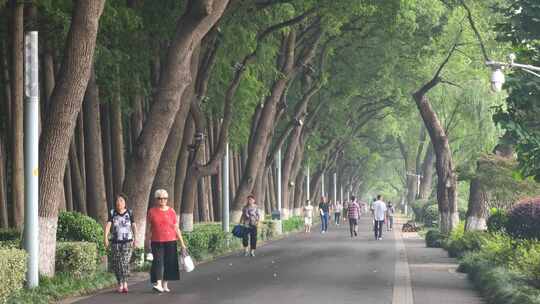 江苏省南京市玄武湖公园林荫道