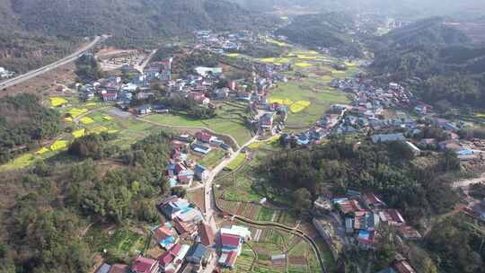 美丽乡村田园油菜花丘陵山川航拍