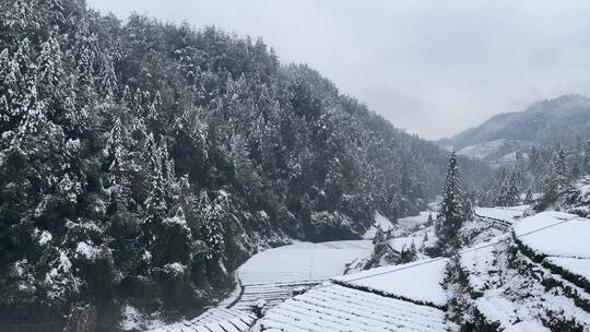 雪景 踏雪进山 雪中行 大雪