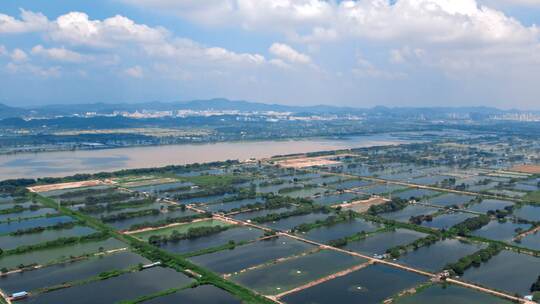 航拍惠州潼湖国家湿地公园