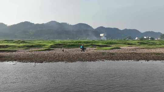 蜂农挑蜂进山