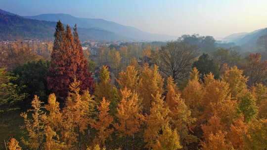 美丽山村 长兴八都芥景区