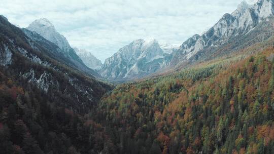 山谷的风景