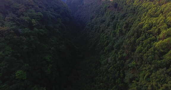 航拍大山风景森林峡谷早晨阳光美丽自然素材