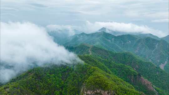 航拍山顶云海延时