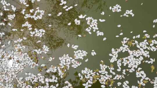 流水落花