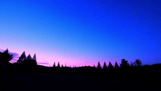 花圃鲜花晚霞傍晚夜景星空