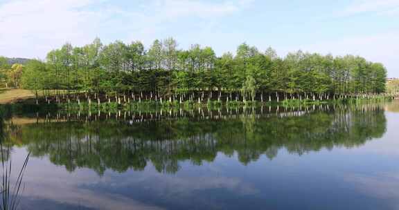 春天溧阳燕山公园美丽湖水绿色森林城市绿化