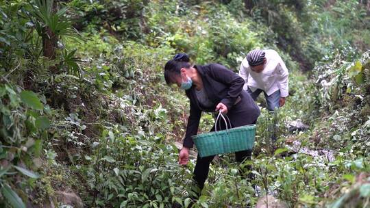 乡村振兴新农村农民幸福生活